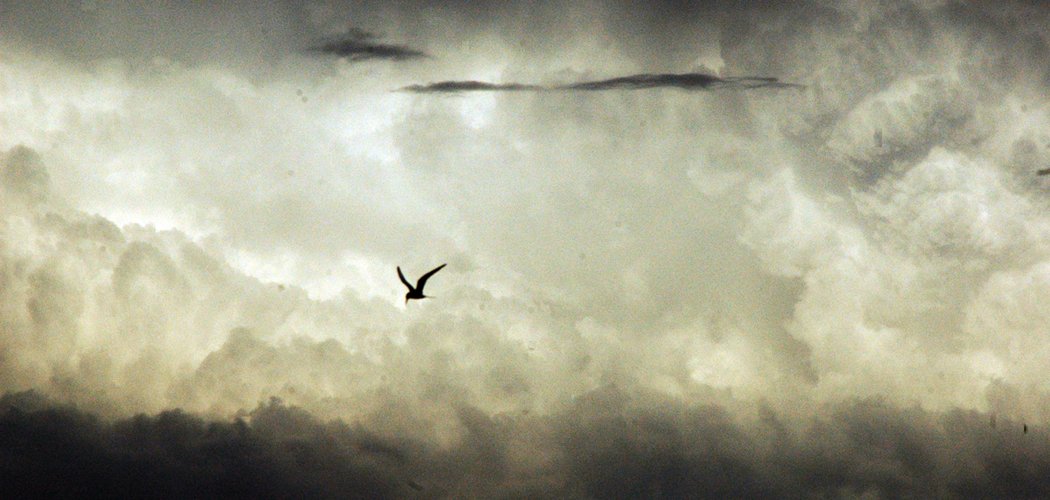 Finding The Good In Depression