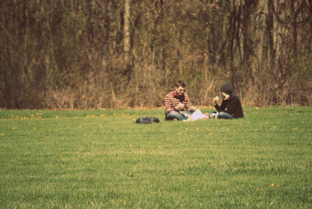 picnic