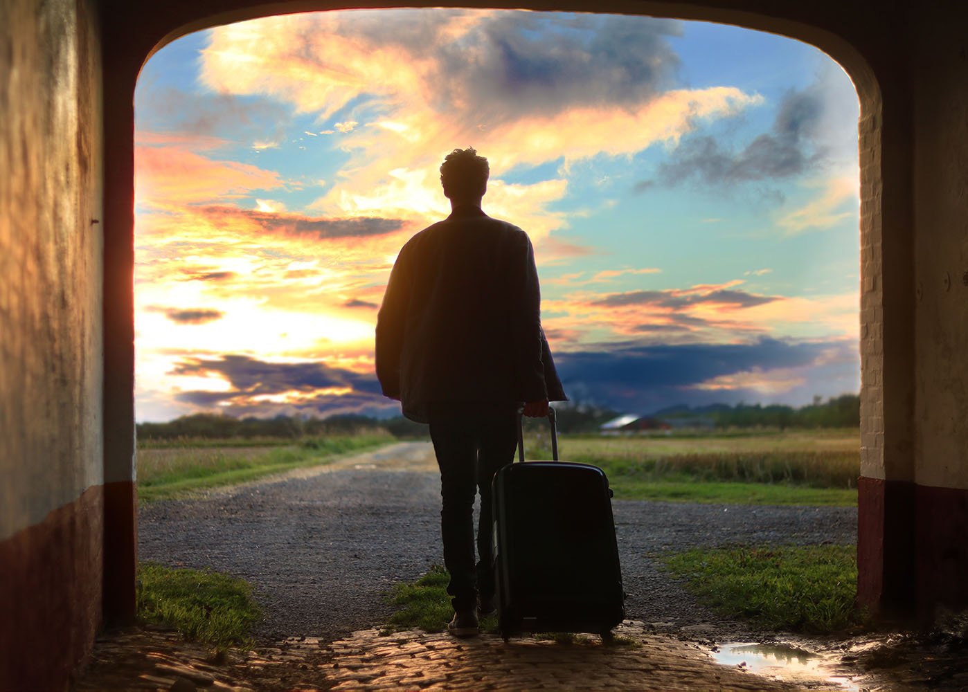 Man holding luggage, facing a meadow.